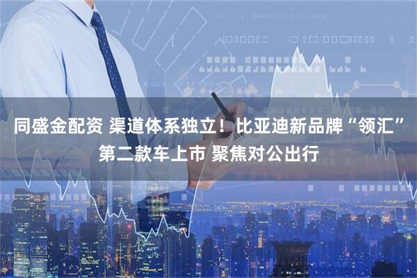 同盛金配资 渠道体系独立！比亚迪新品牌“领汇”第二款车上市 聚焦对公出行